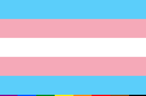 Image of the transgender flag (rows of color in light blue, light pink, white, light pink, and light blue)